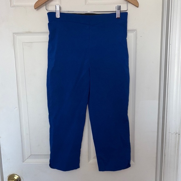 Equestrian Cropped Blue Pants - Picture 1 of 3